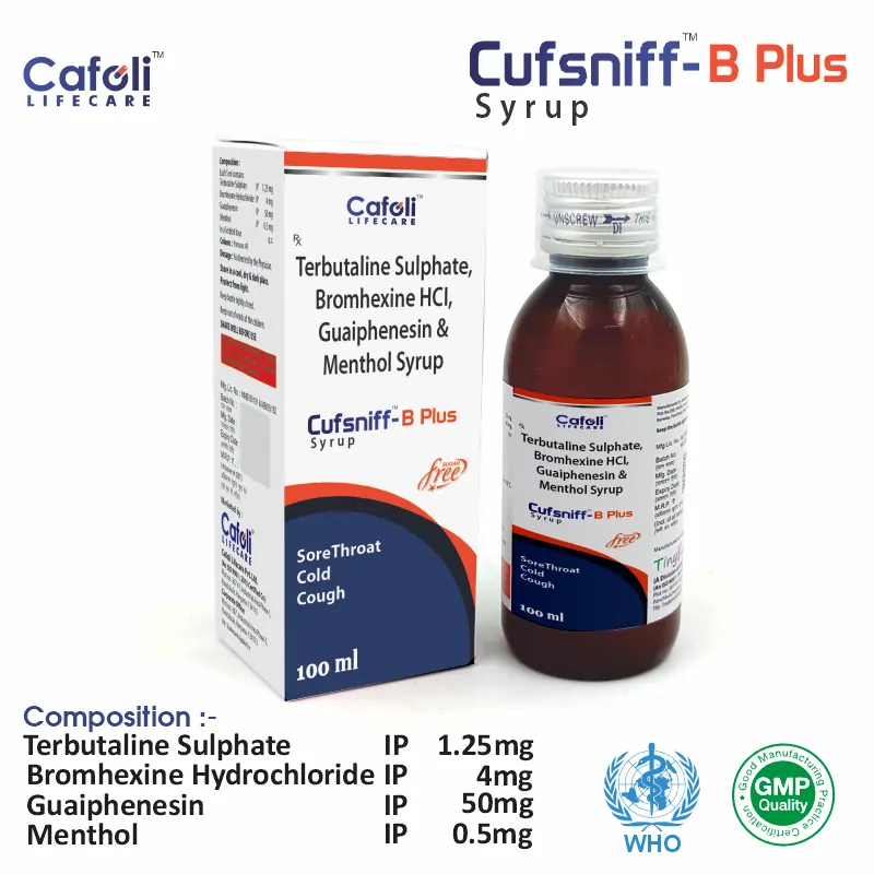 Bromhexine 4 mg + Guaifenesin 50 mg + Menthol 0.5 mg + Terbutaline 1.25 mg Syrup PCD Pharma Franchise